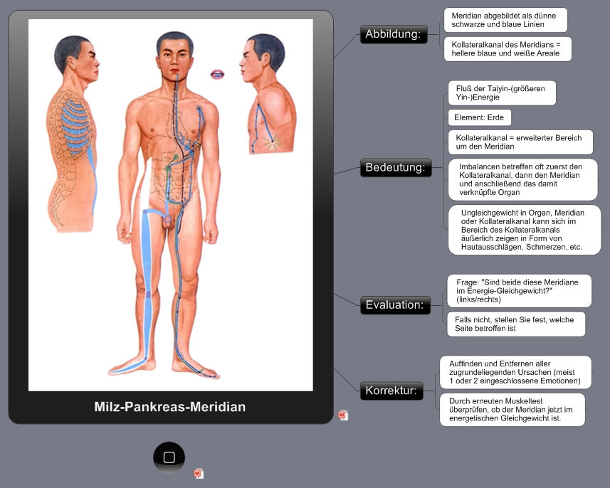 Milz-Pankreas-Meridian